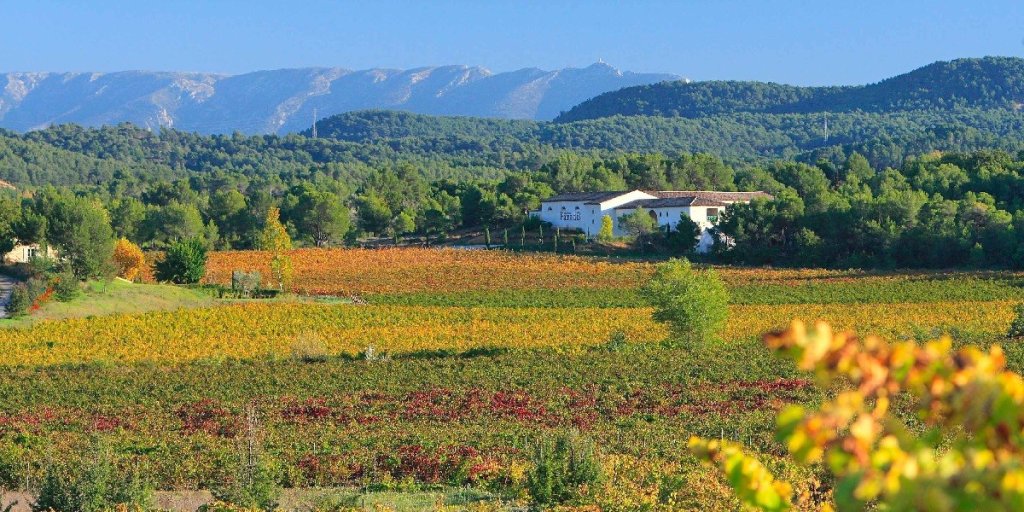 Ch&acirc;teau Paradis.