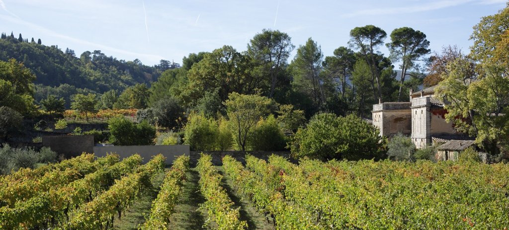 Vignoble du Luberon.