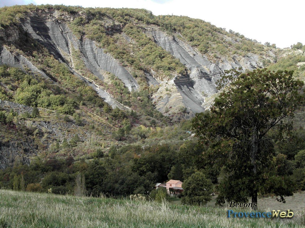 Montagne &agrave; Bevons.