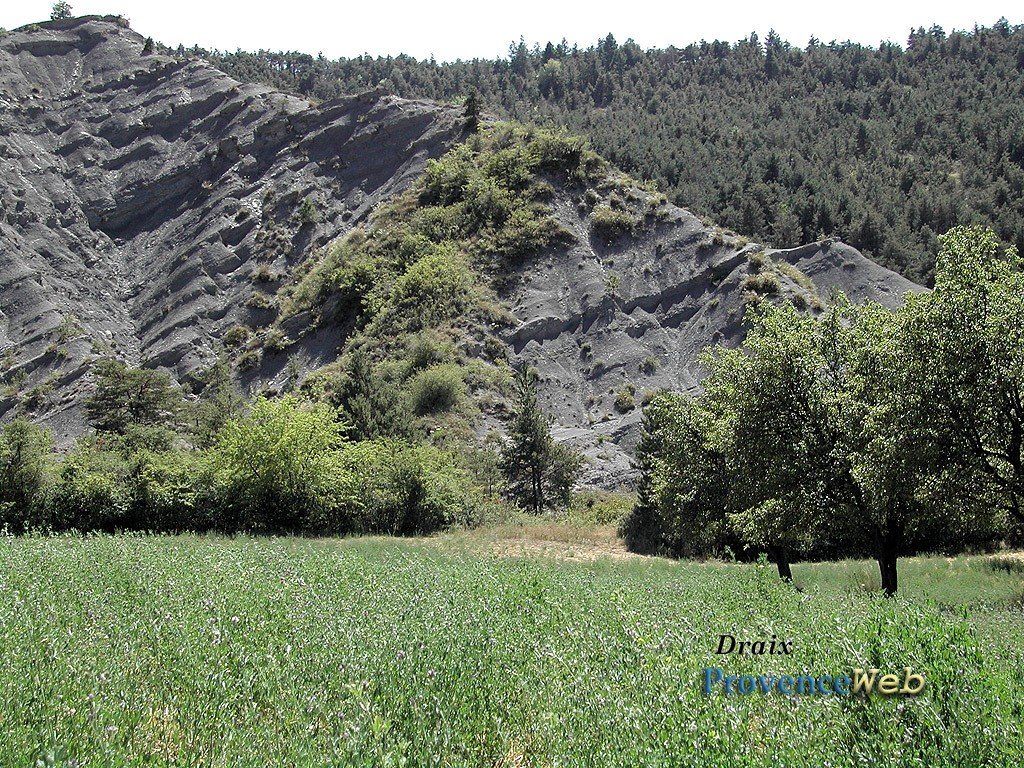 Nature autour du village.