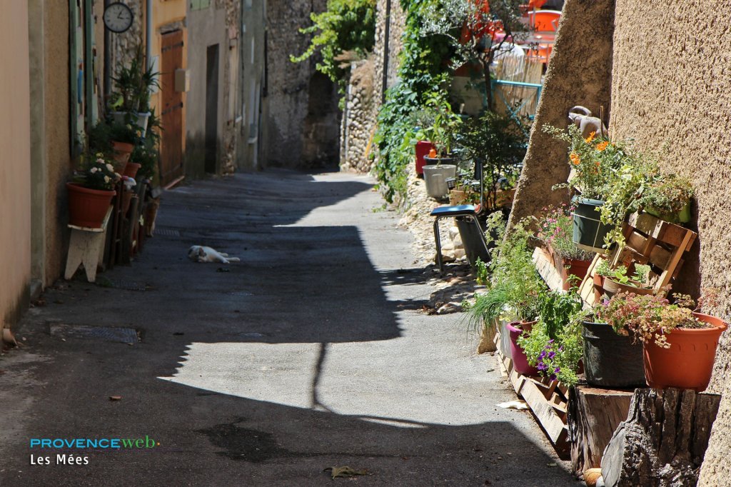 Ruelle.