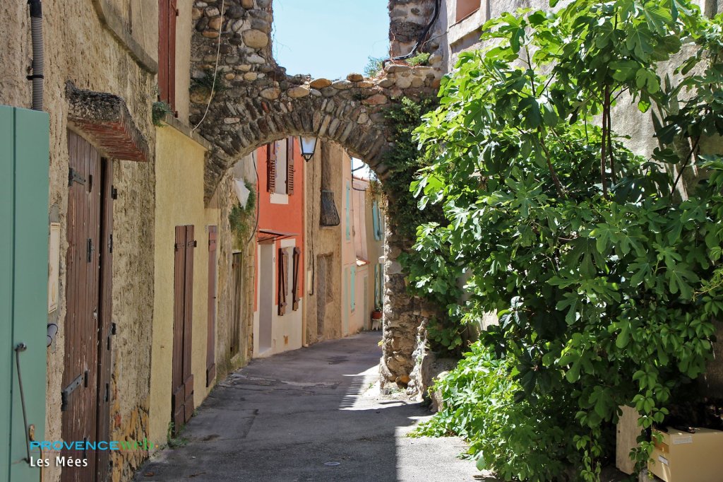 jolie ruelle dans Les M&eacute;es.