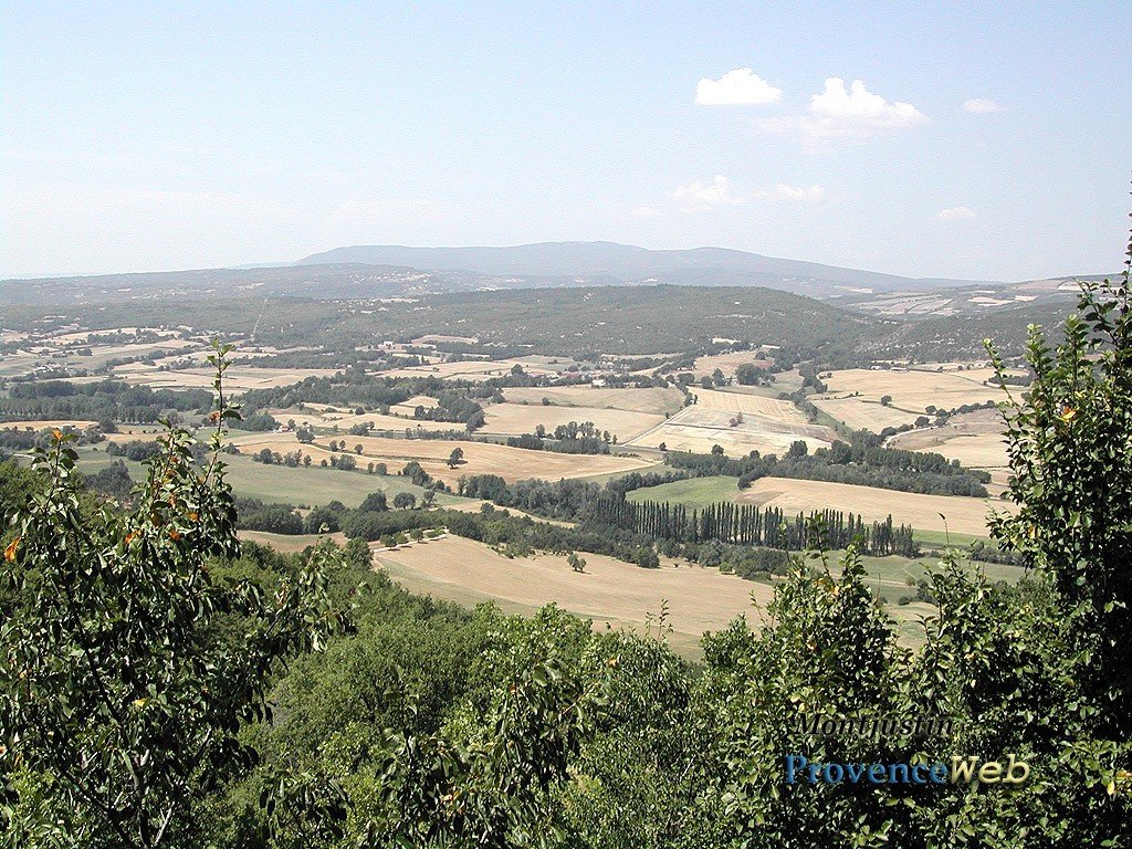 Campagne autour de Montjustin.