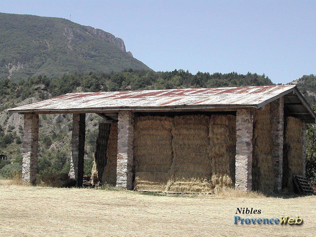 Ferme &agrave; Nibles.