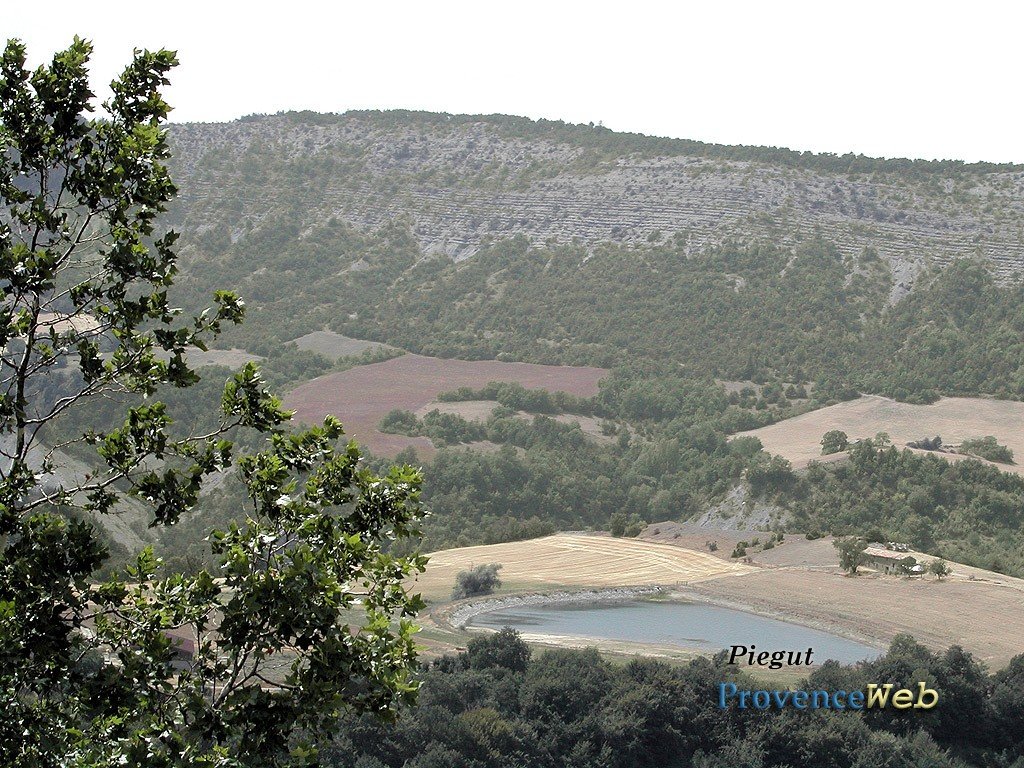 Campagne autour de Pi&eacute;gut.