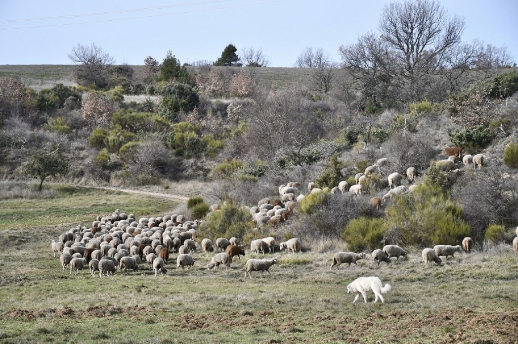 Randonn&eacute;es pr&egrave;s de Saint Julien d'Asse.