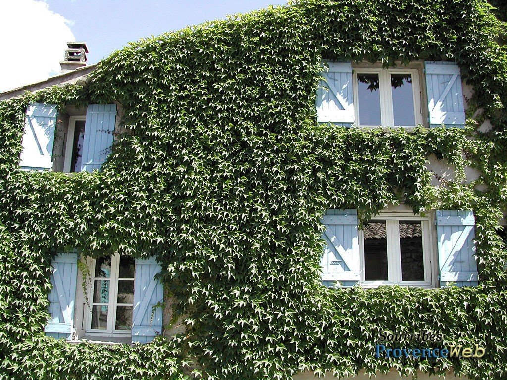 Jolie maison avec une vigne grimpante &agrave; Sourribes.