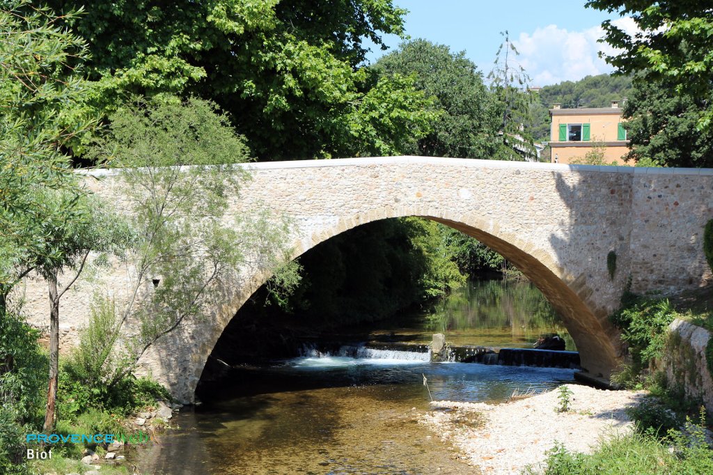 Pont-Vieux de Saint-Jean.