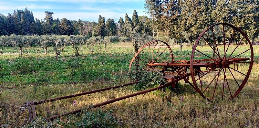Vieille charue dans un champ.