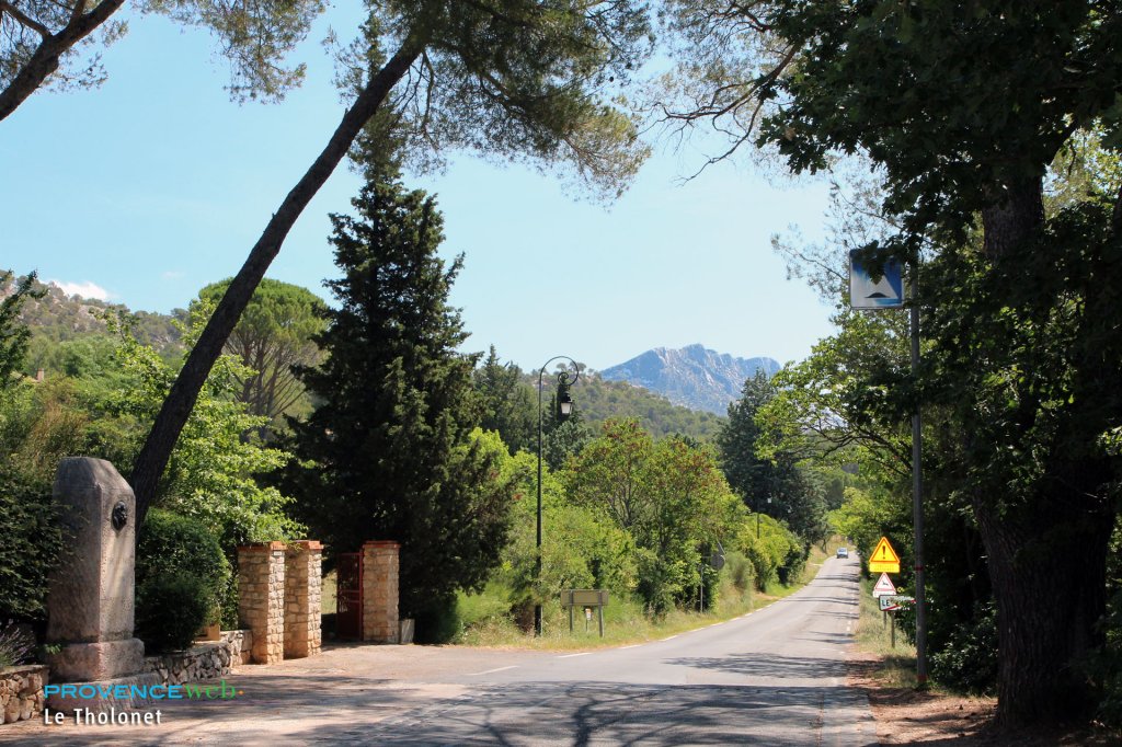 Vue sur la Sainte Victoire depuis Le Tholonet.