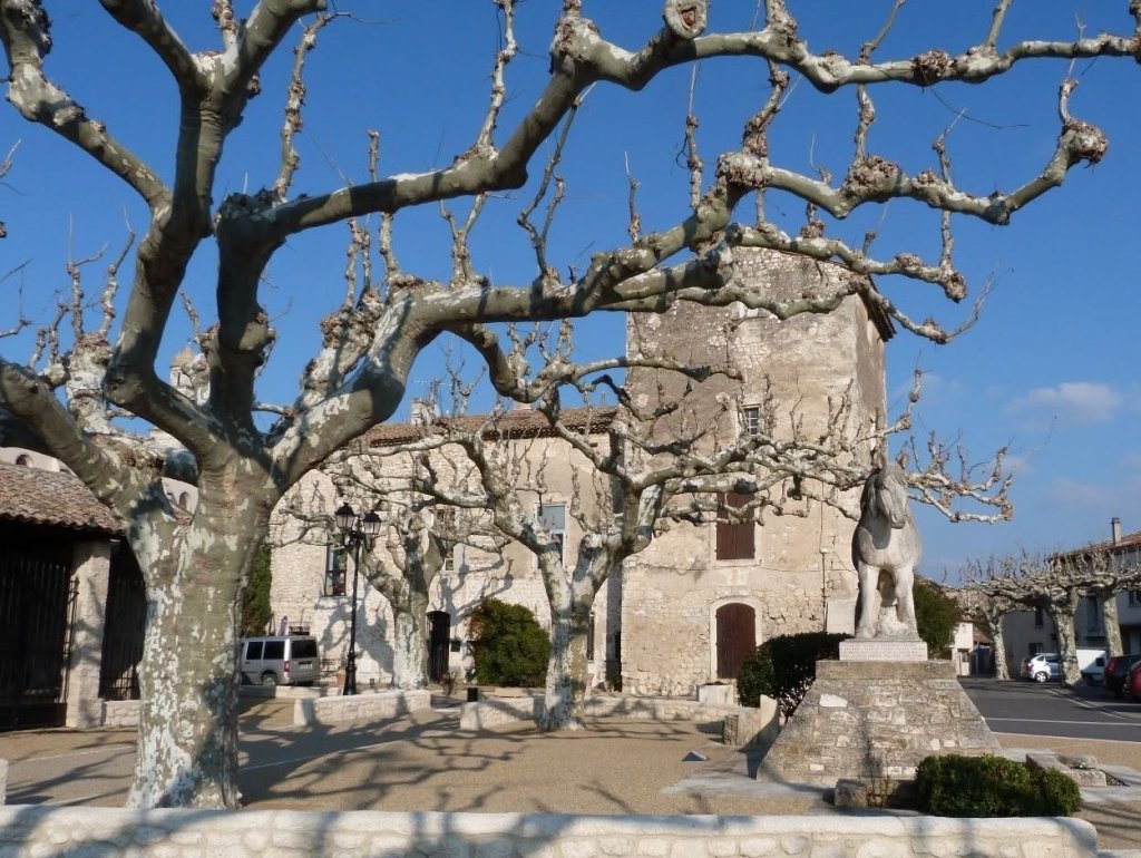 Moll&eacute;g&egrave;s 13.