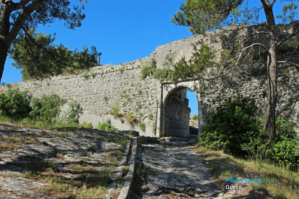 Ch&acirc;teau d'Orgon.