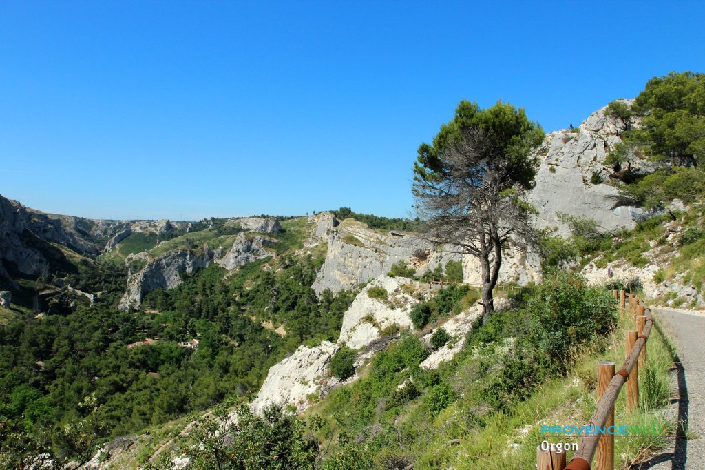 Nature autour d'Orgon.