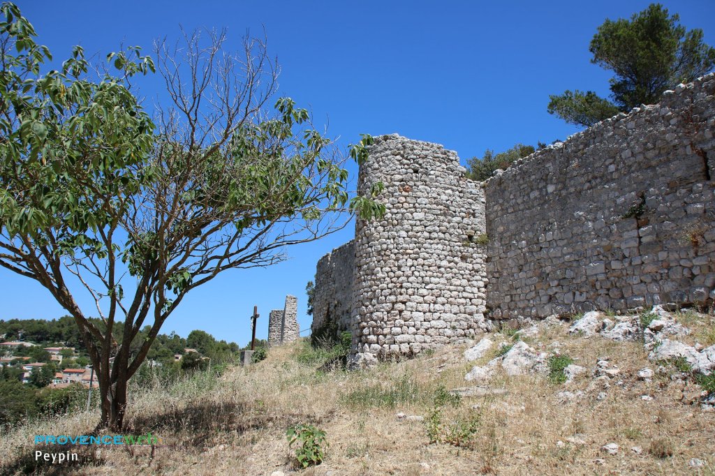 Ruines m&eacute;di&eacute;vales.