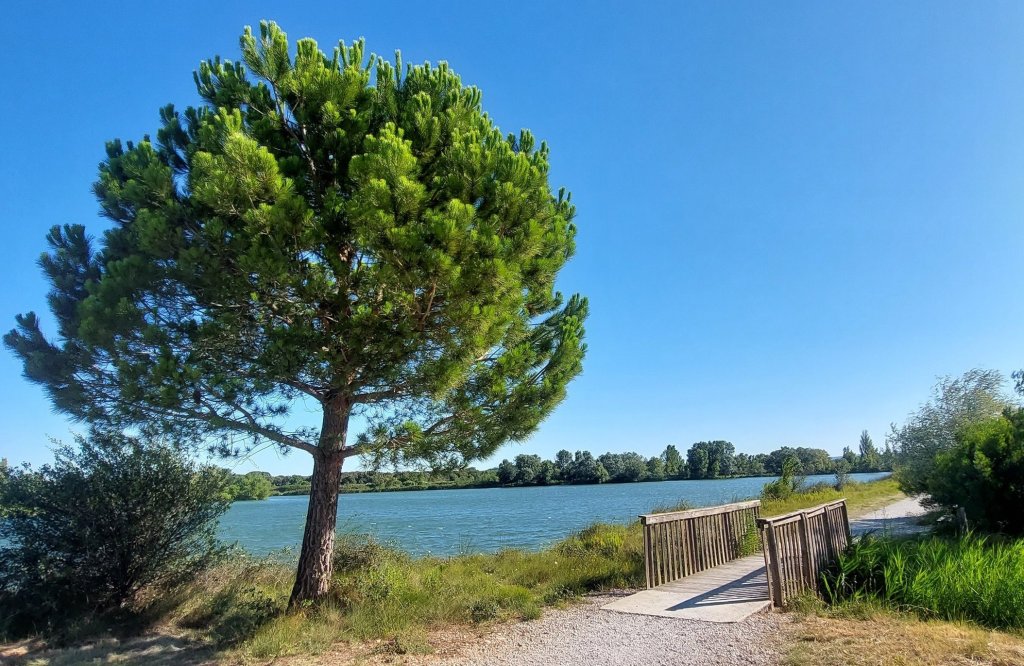 Jolie rivi&egrave;re.