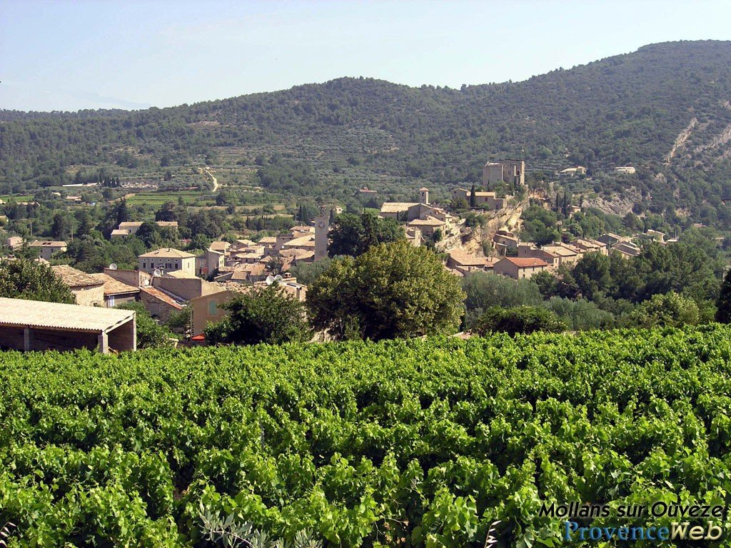 Mollans sur Ouv&egrave;ze 26.