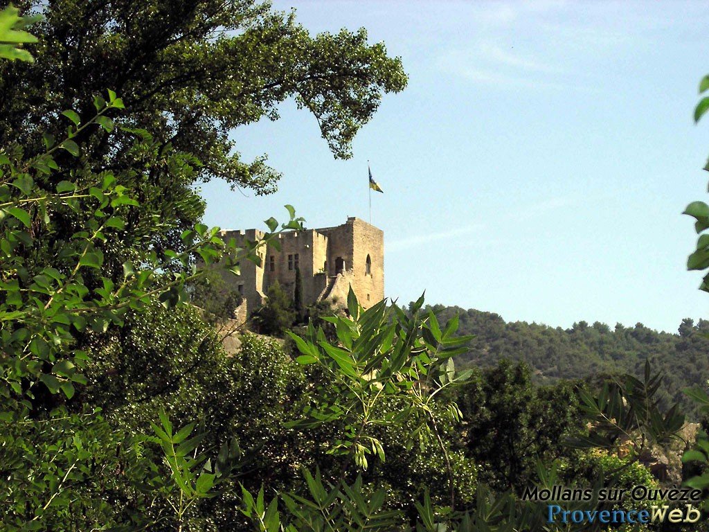 Ch&acirc;teau de Mollans sur Ouv&egrave;ze.
