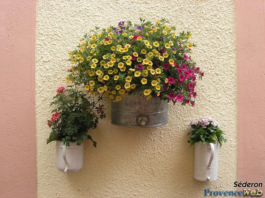 Pots de fleurs muraux.