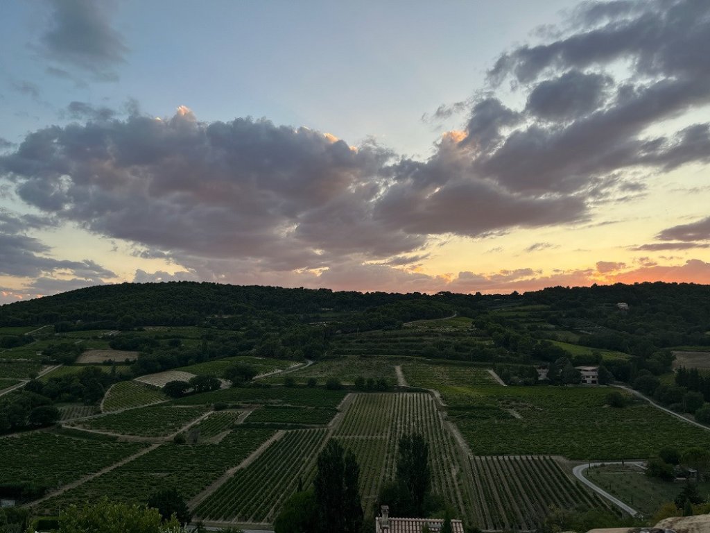 Vue sur les vignobles.