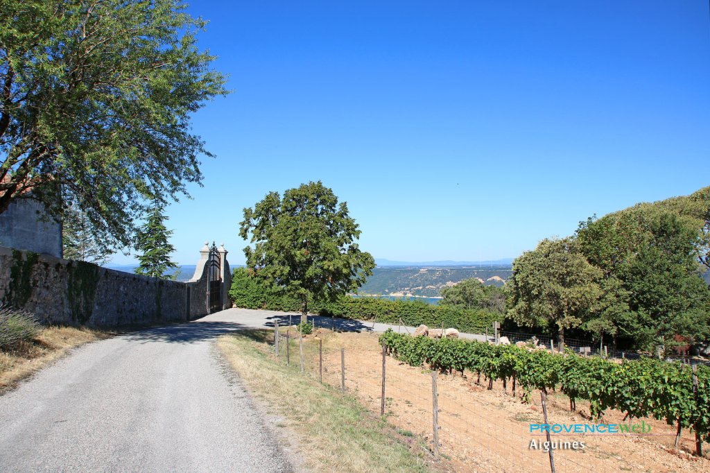Vignoble &agrave; Aiguines.