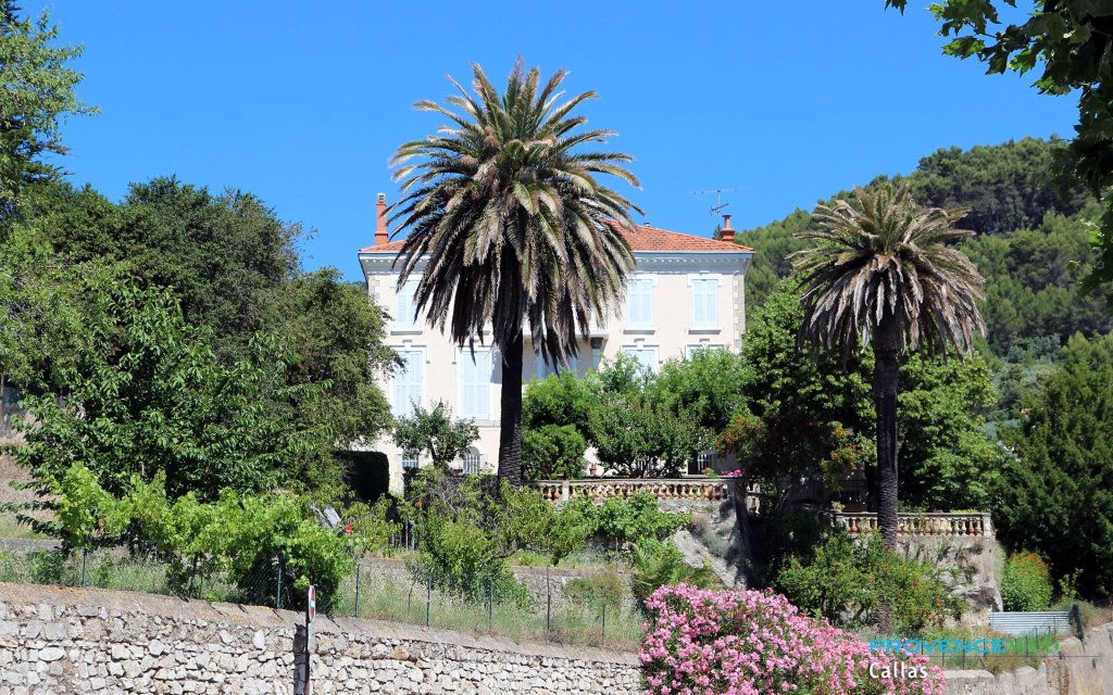 Joli jardin avec palmiers.