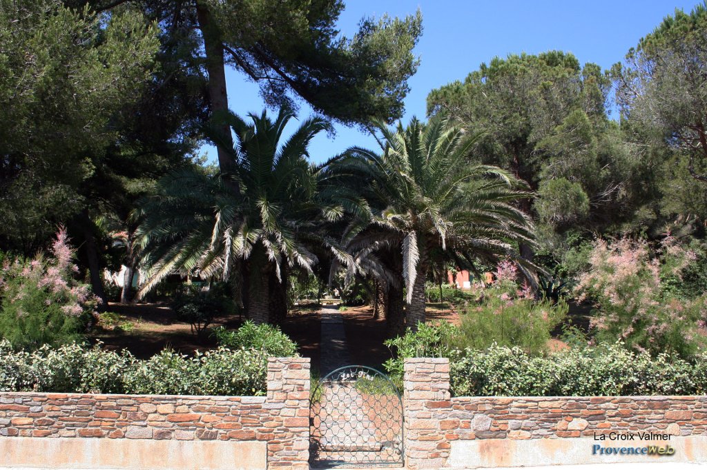 Jardin d'une propri&eacute;t&eacute; avec des beaux palmiers.