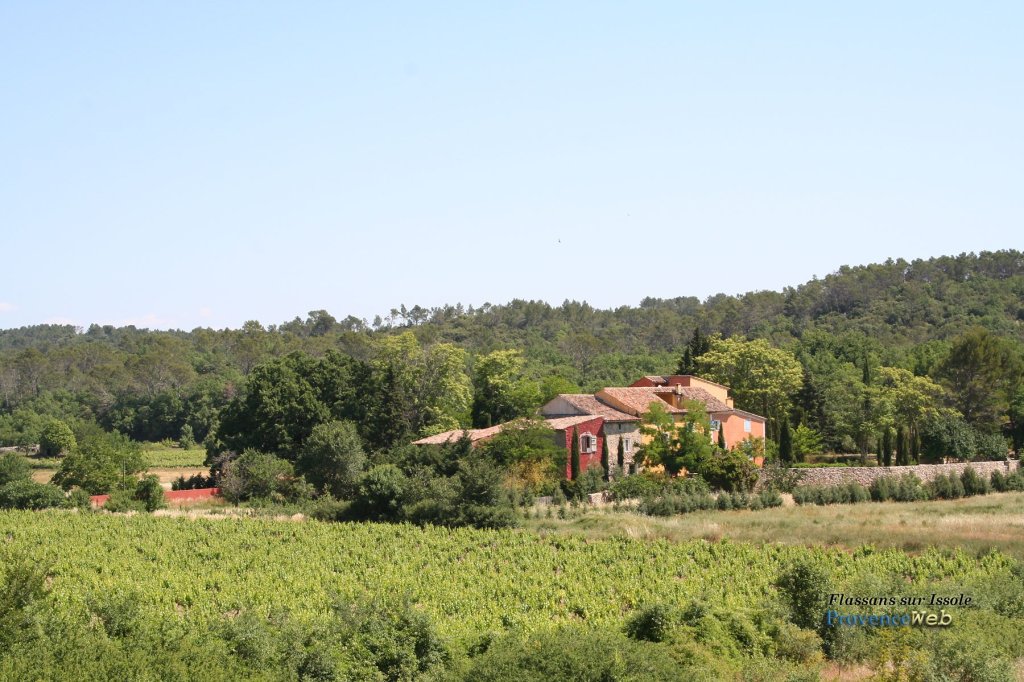 Vignoble.