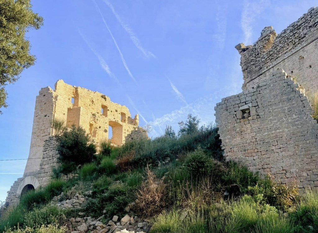 Ruine de Castellas.