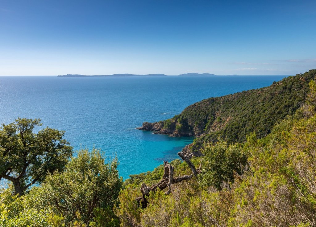Randonn&eacute;e sur l'Ile du Levant.