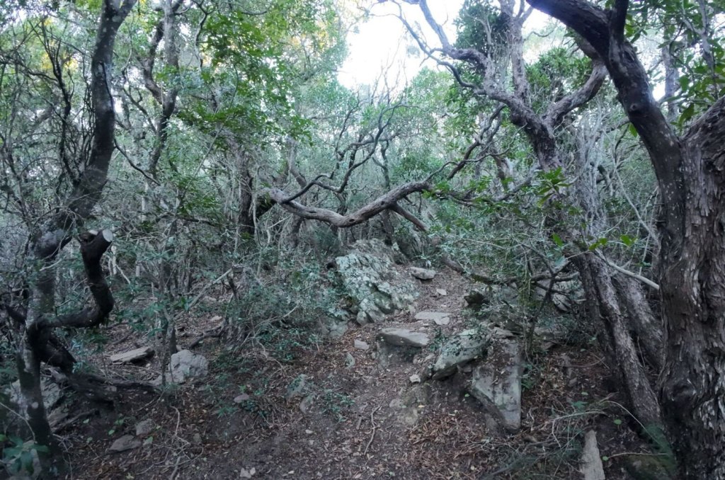 La r&eacute;serve des Arbousiers.