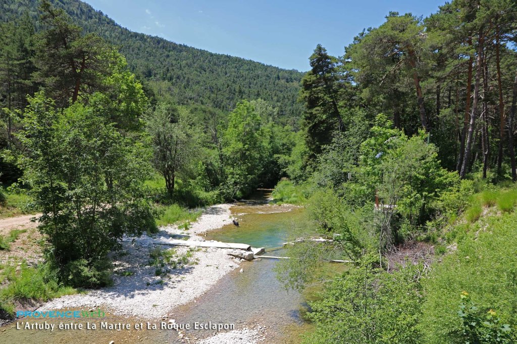 La rivi&egrave;re L'Artuby entre La Martre et la Roque Esclapon.