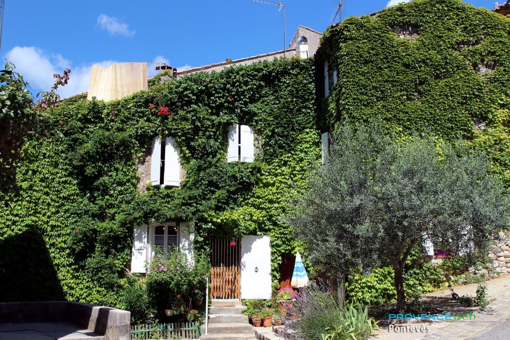 Maisons couvertes de lierre &agrave; Pontev&egrave;s.