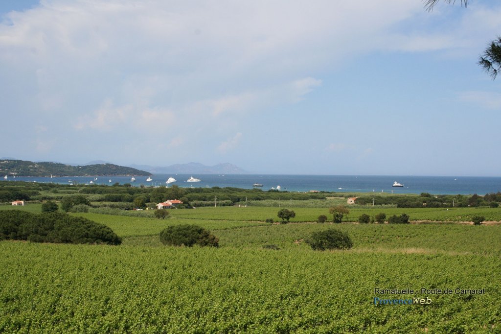 Vignoble devant la mer.