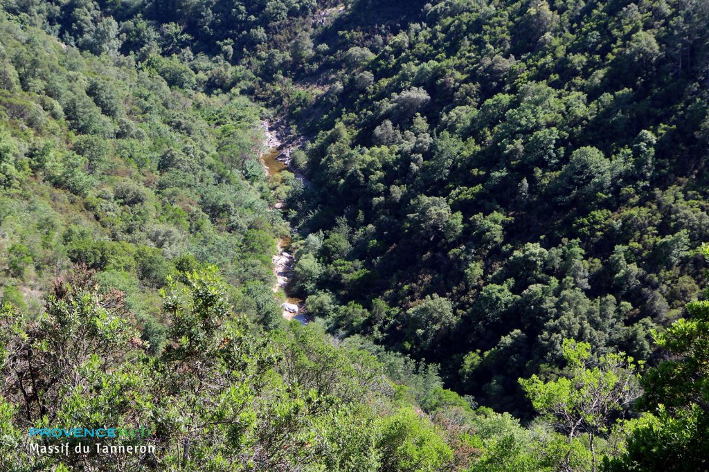 Rivi&egrave;re dans le Massif du Tanneron.