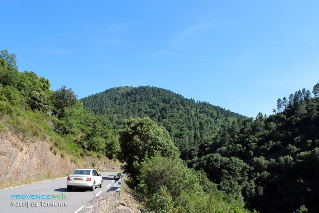 Route dans le Massif du Tanneron.