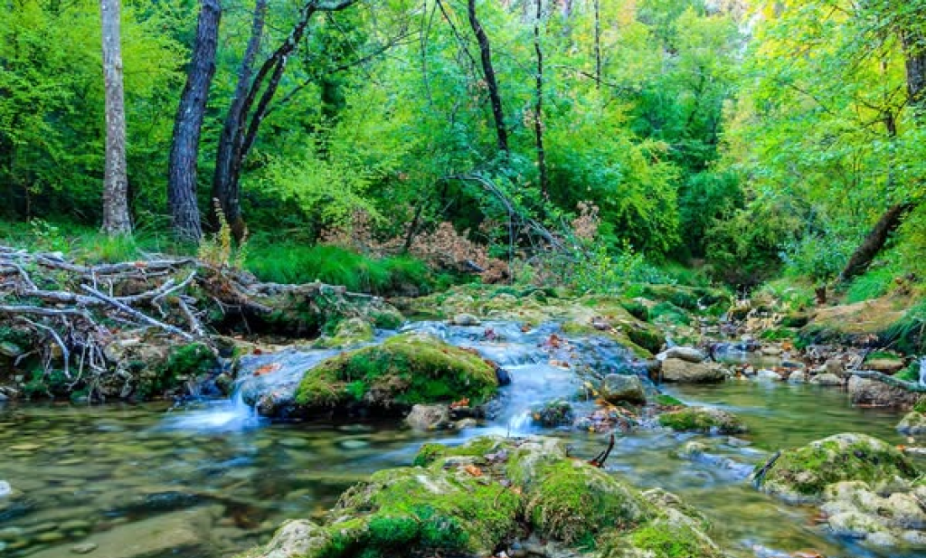 Caramy &agrave; Tourves.