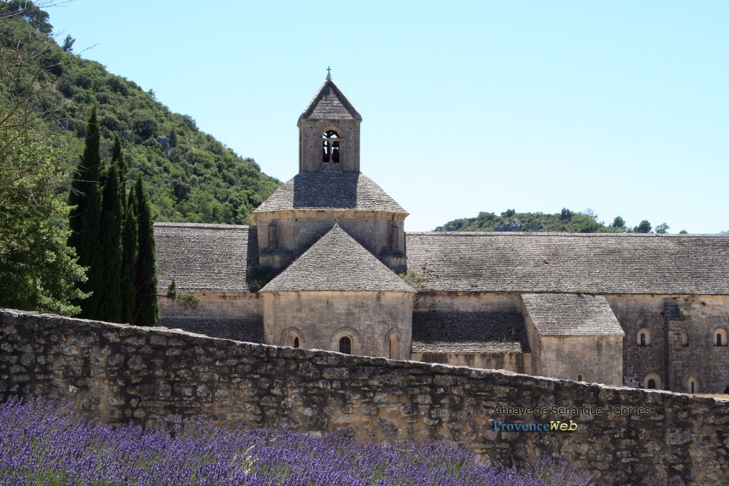 Abbaye de Senanque et lavande.