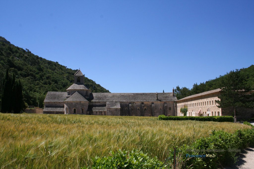 Production abbaye sénanque.