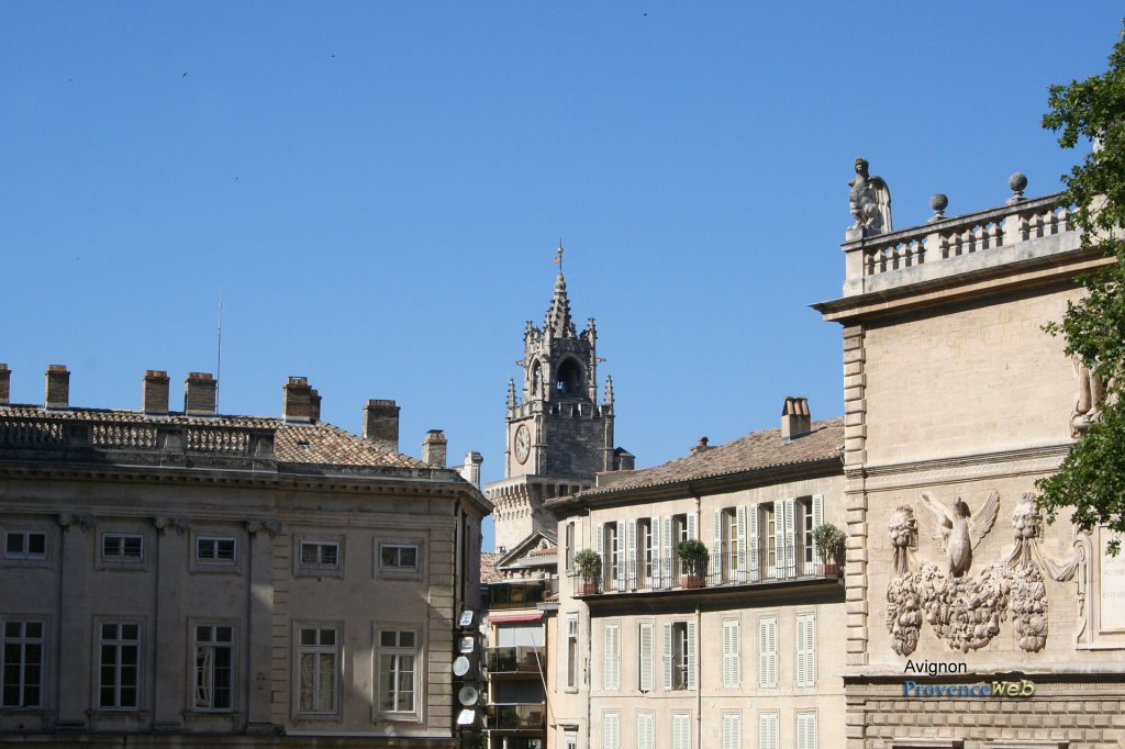 Avignon.