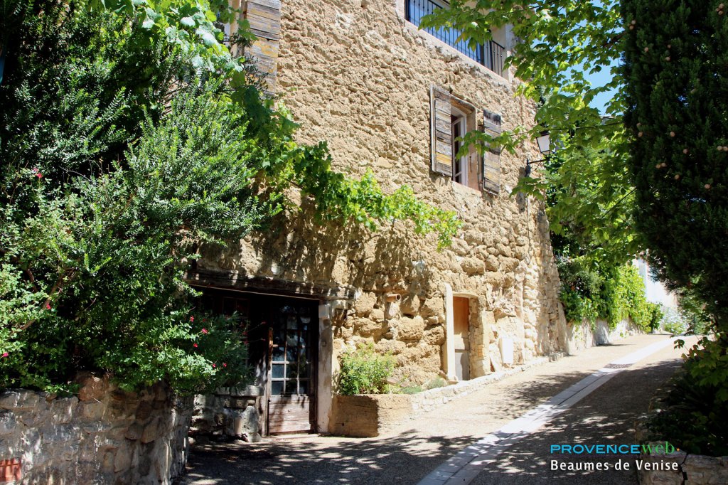 Les Beaumes-de-Venise dans le Vaucluse.