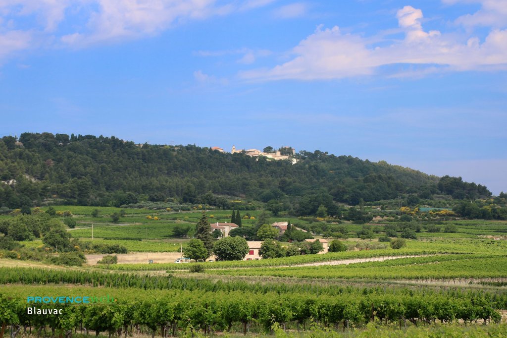 La campagne autour de Blauvac.