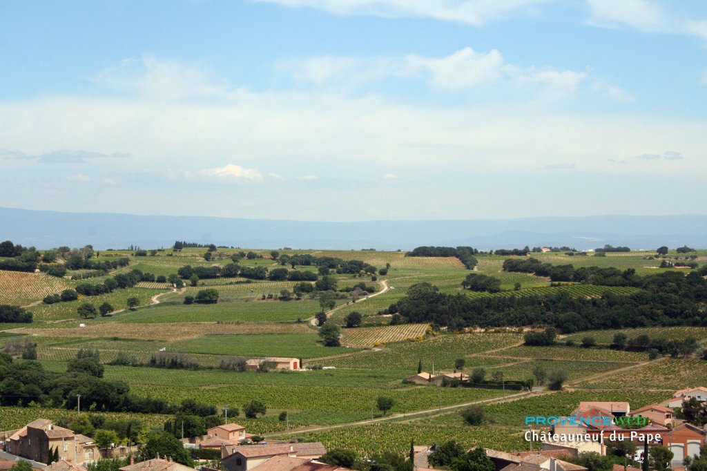 Vignes &agrave; Ch&acirc;teauneuf du Pape.