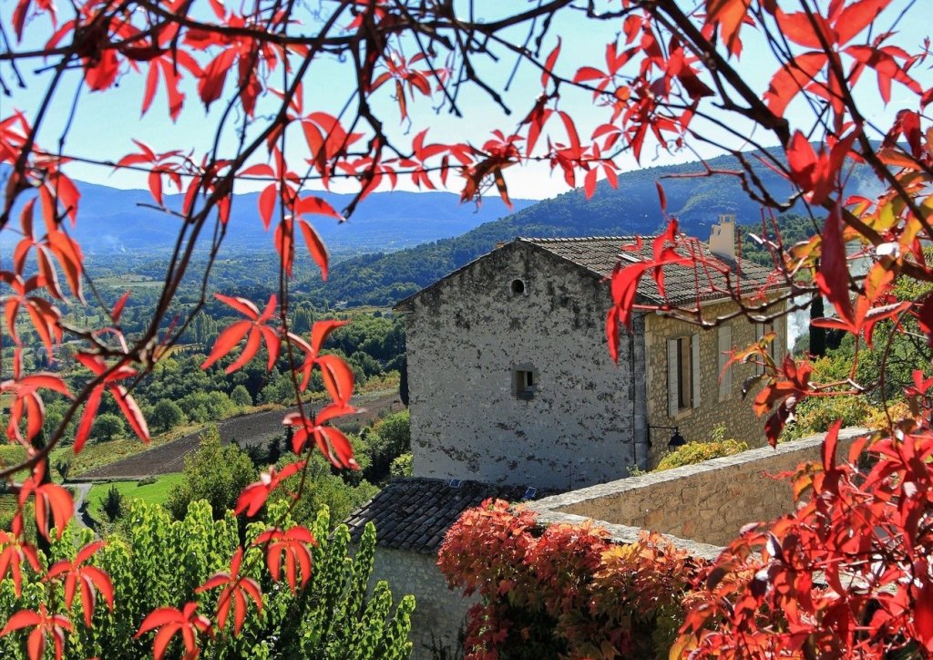Vue &agrave; travers les arbres.