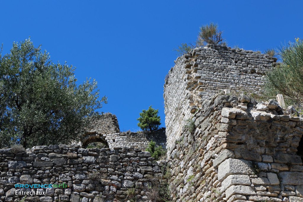 Ruines du ch&acirc;teau.