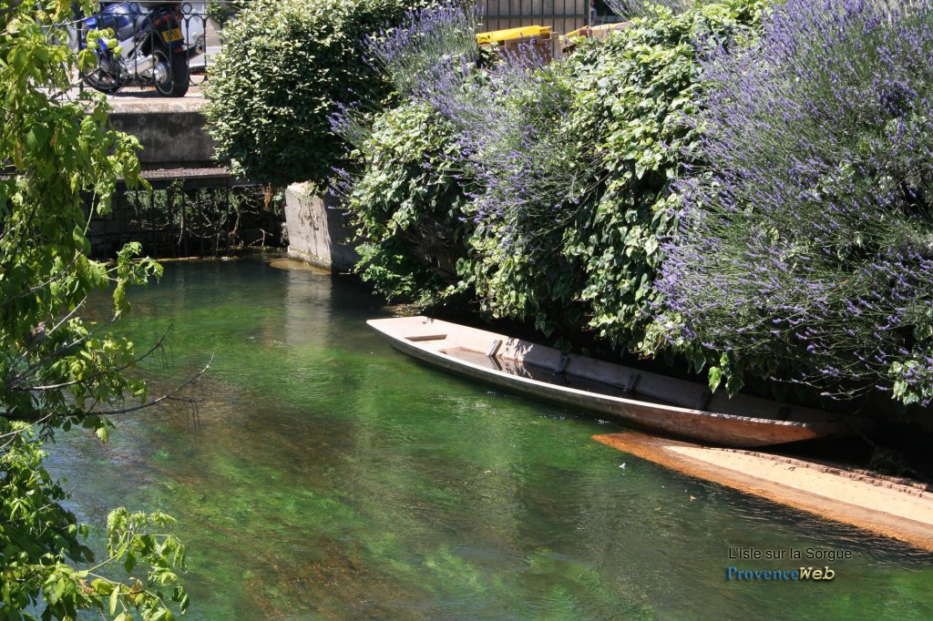 Canaux à l'Isle sur la Sorgue.