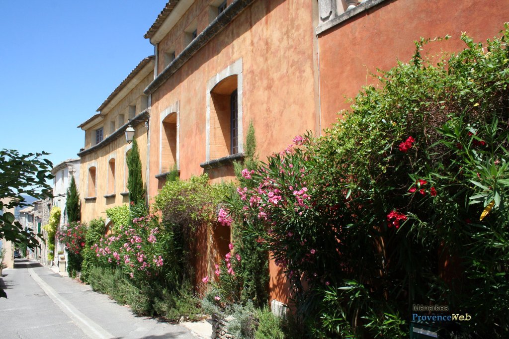 Jolie rue pleine de lauriers en fleurs.