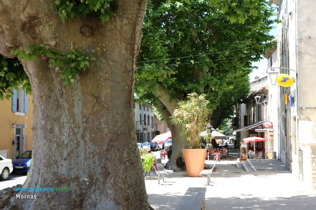 Rue commer&ccedil;ante.