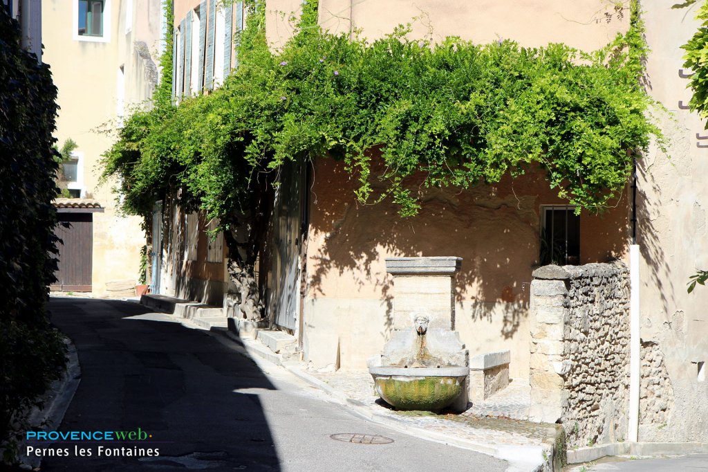 Rue de Pernes les Fontaines.