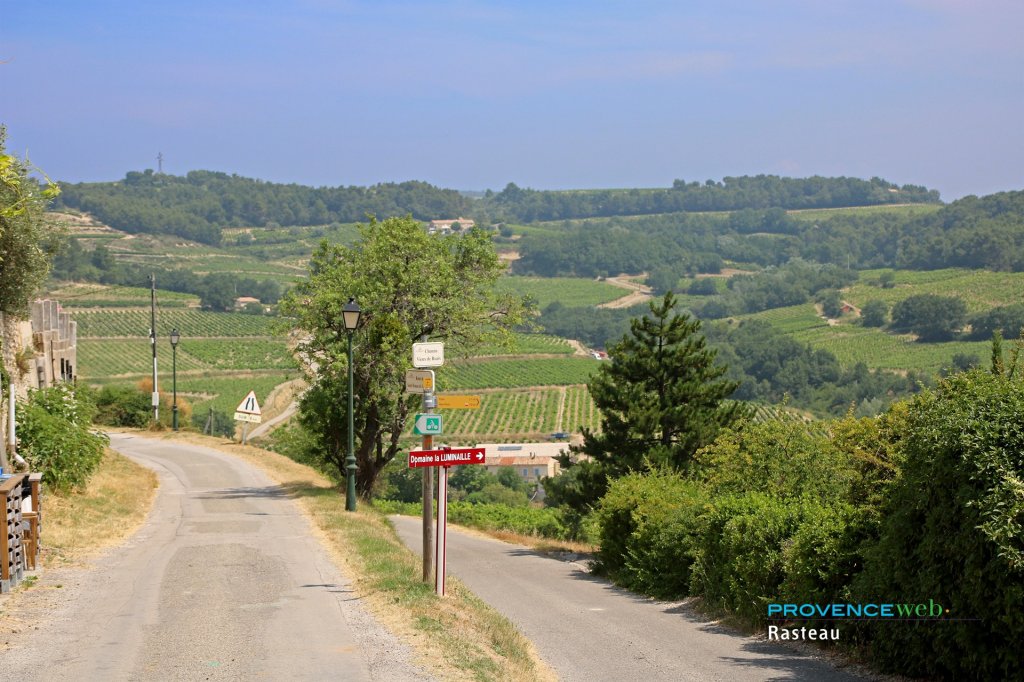 Domaine viticole.