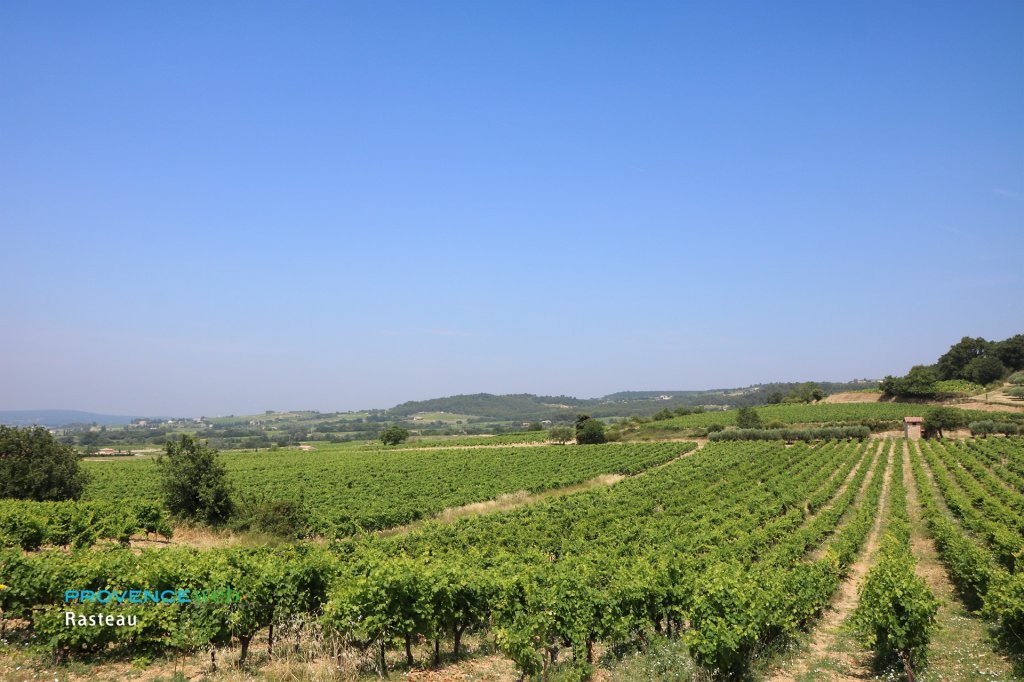 Vignes &agrave; Rasteau.